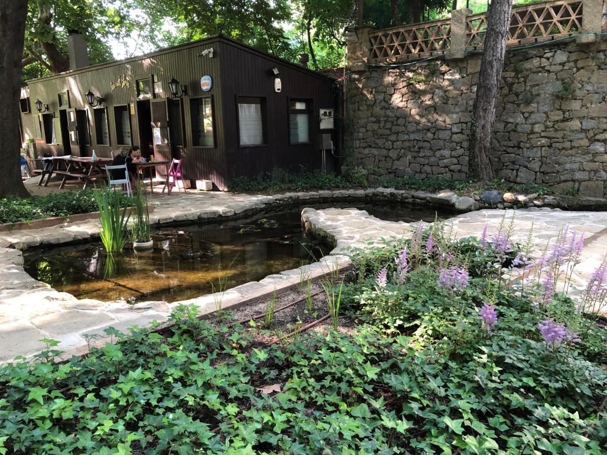 Escloper B&B Sant Julia de Vilatorta Luaran gambar